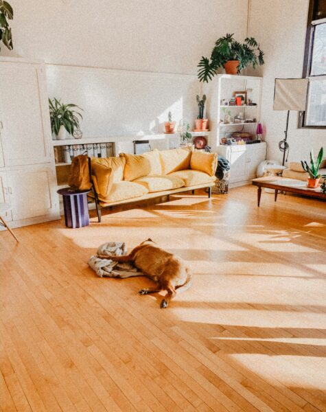laminate florr with god laminate florrw